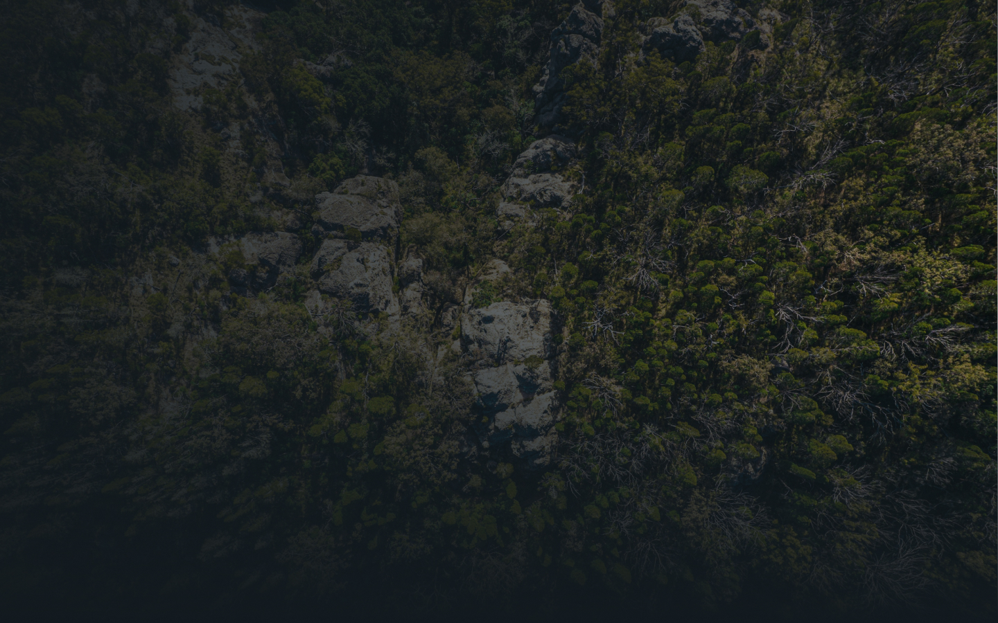 Remote landscape